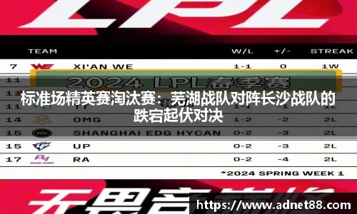 标准场精英赛淘汰赛：芜湖战队对阵长沙战队的跌宕起伏对决