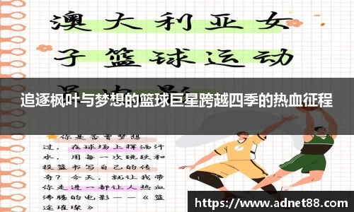 追逐枫叶与梦想的篮球巨星跨越四季的热血征程