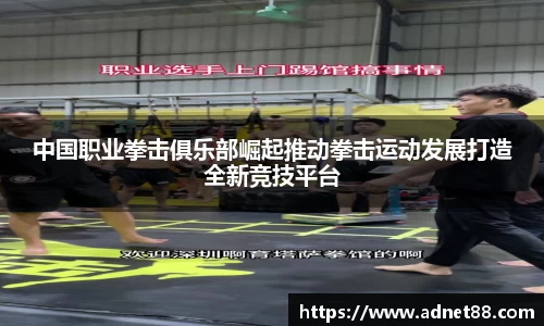 胜游官网