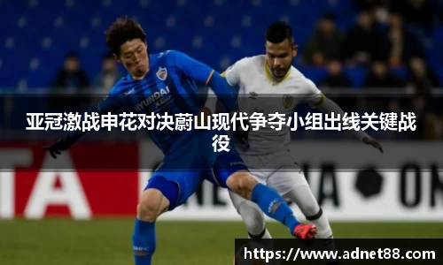bsports官网入口