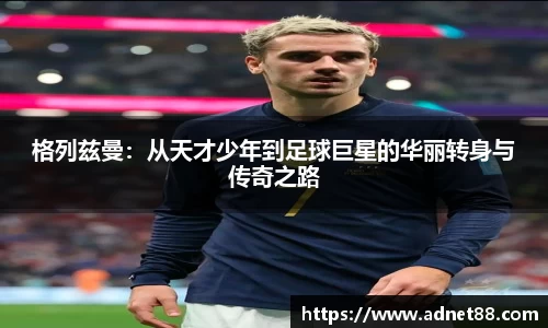 B体育官网
